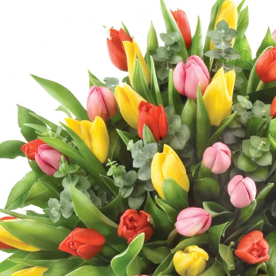 Piękny Bukiet Kolorowych Tulipanów