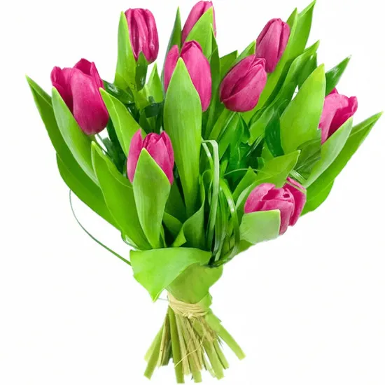 Pink tulips bouquet