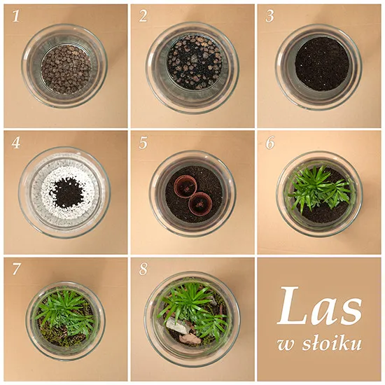 Las w słoiku DIY - Zagajnik