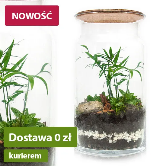 Las w słoiku DIY - Zagajnik