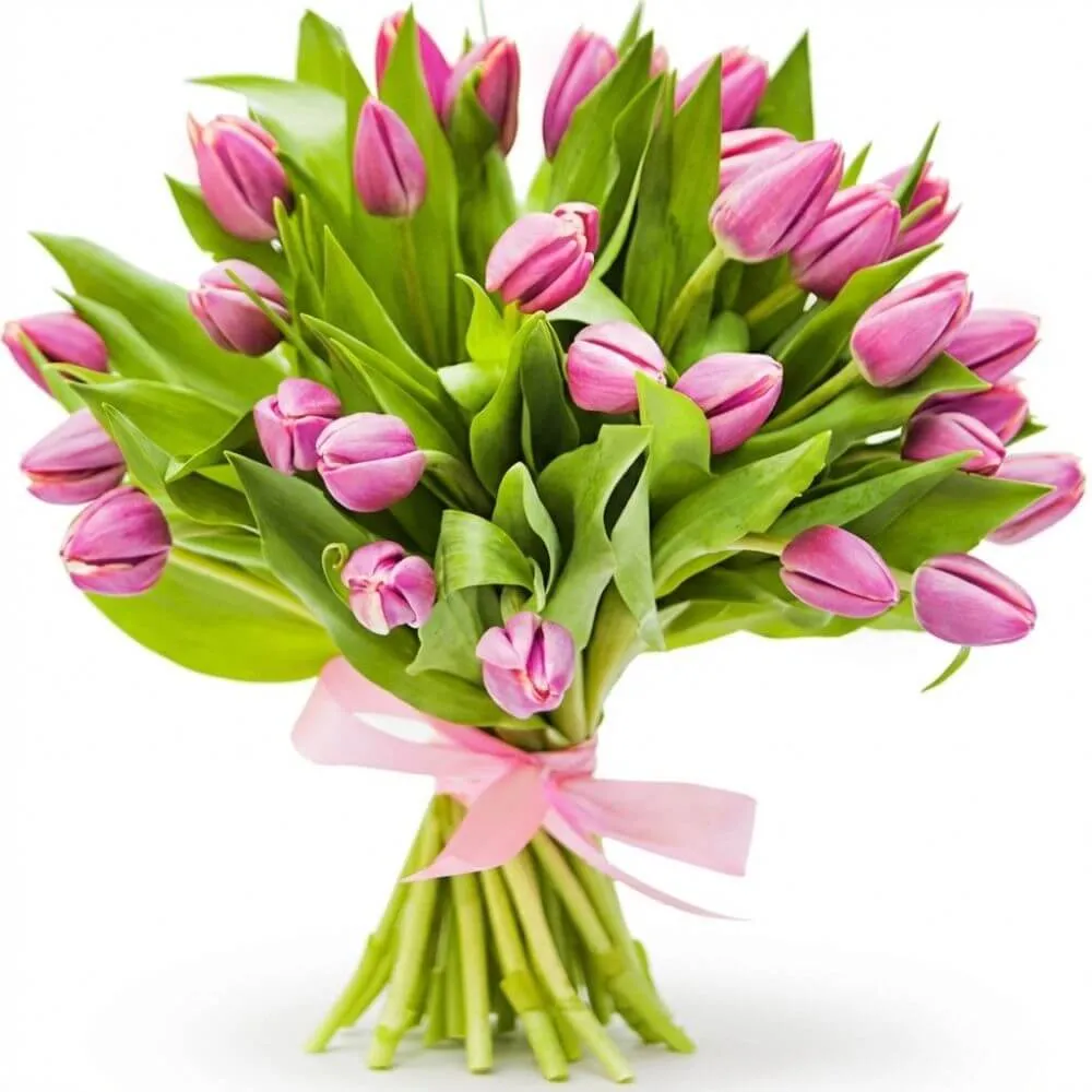 21 różowych tulipanów kurierem