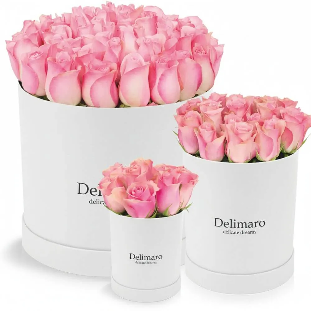 Różowe róże w białym pudełku