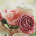 Róże w wazonie - jak przedłużyć ich trwałość?