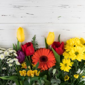 Kwiaty wiosną - jakie znajdziecie?
