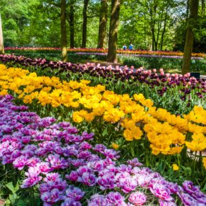 Najpiękniejsze parki i ogrody z kwiatami na świecie