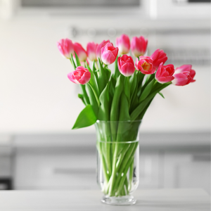 Jak dbać o tulipany w domu?